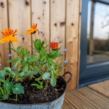 Luxury Glamping With Outdoor Bath On Cornish Flower Farm Truro
