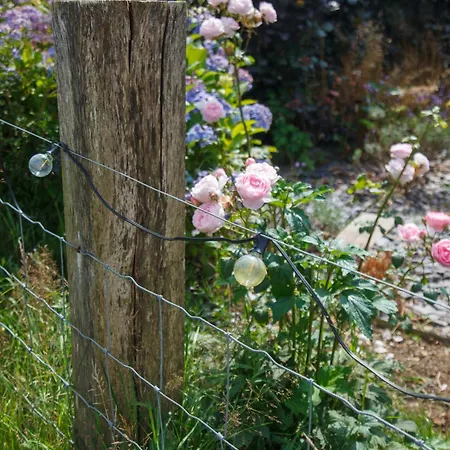 Luxury Glamping With Outdoor Bath On Cornish Flower Farm *
